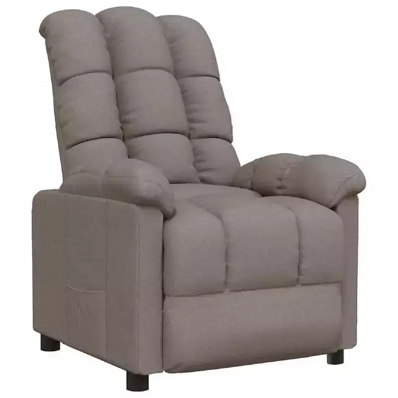 vidaXL Fauteuil inclinable de relaxation réglable et confortable en tissu pour cinéma maison