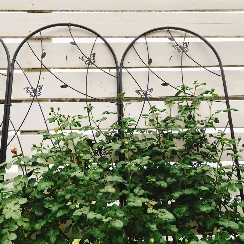 MAYEERTY Lot de 2 treillis de jardin métalliques 180x50 cm - Antirouille, décor papillon noir, pour plantes grimpantes d'extérieur