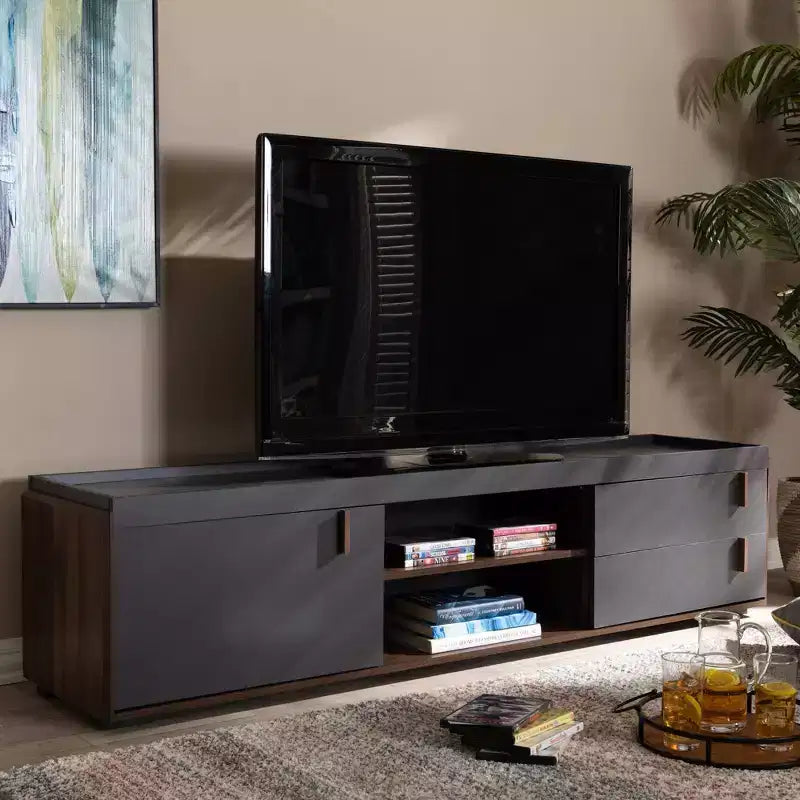 Meuble TV Rikke bicolore en bois à 2 tiroirs pour téléviseurs jusqu'à 65 po gris - Baxton Studio